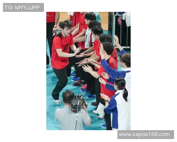 杭州排球队状态揭秘：排球巨献背后的训练与坚持